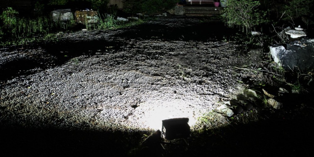 LED solar flood light