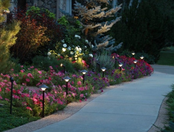 How to Choose the Best Solar Lights for Your Outdoor Pathways
