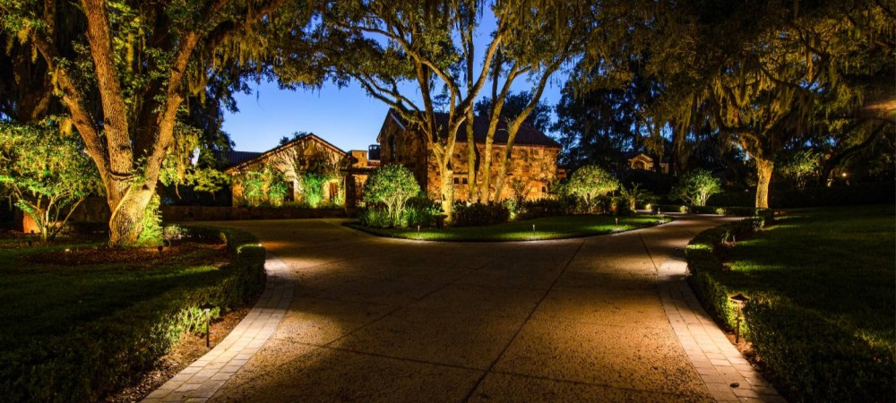 Solar LED lights